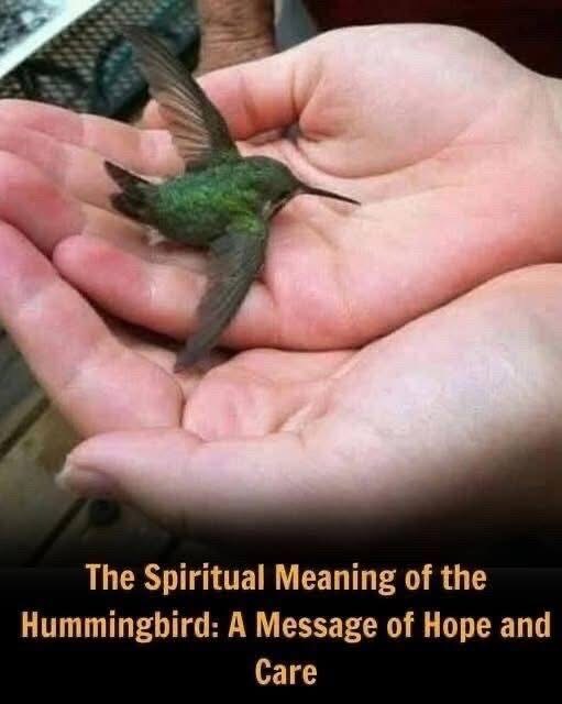 Did You Know a Hummingbird Visiting Your Home Carries a Special Meaning?
