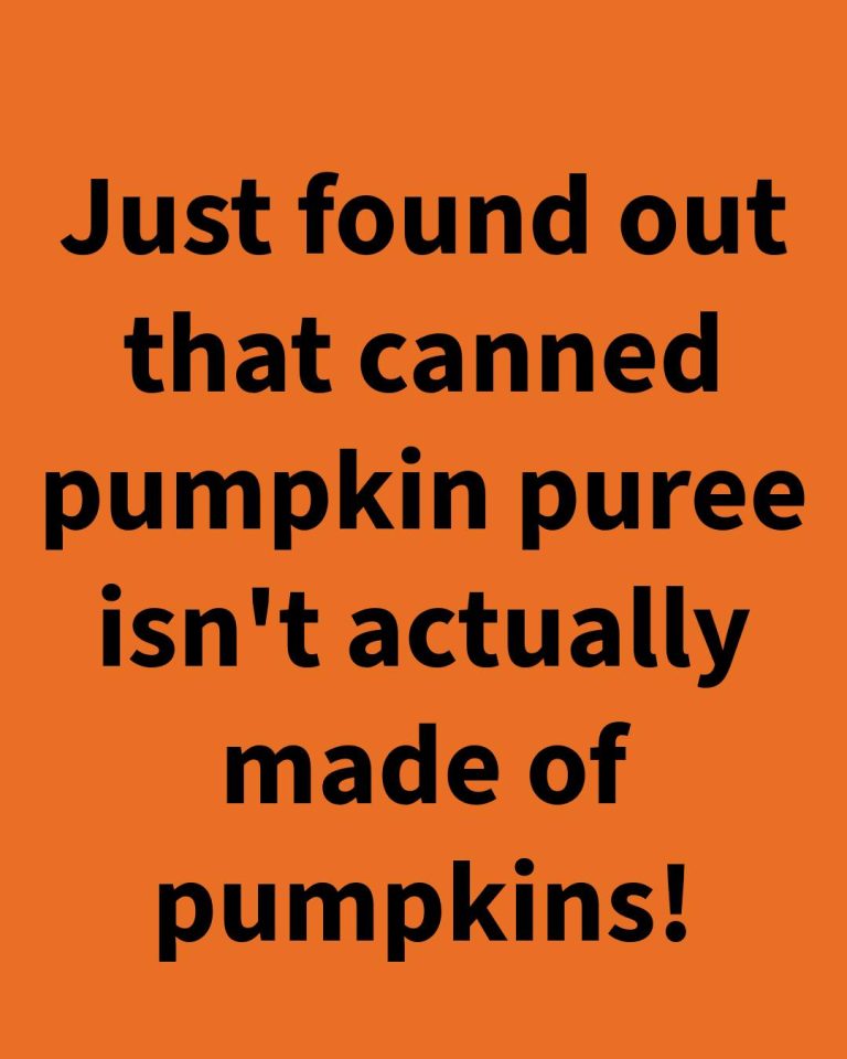 Is Your Pumpkin Purée Actually Pumpkin?