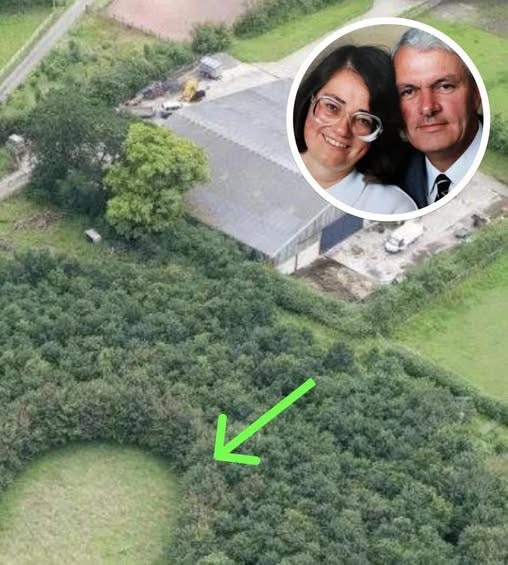 Husband Plants 6,000 Trees To Honor Decea