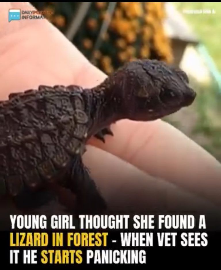 RecordA Young Girl Thought She Found