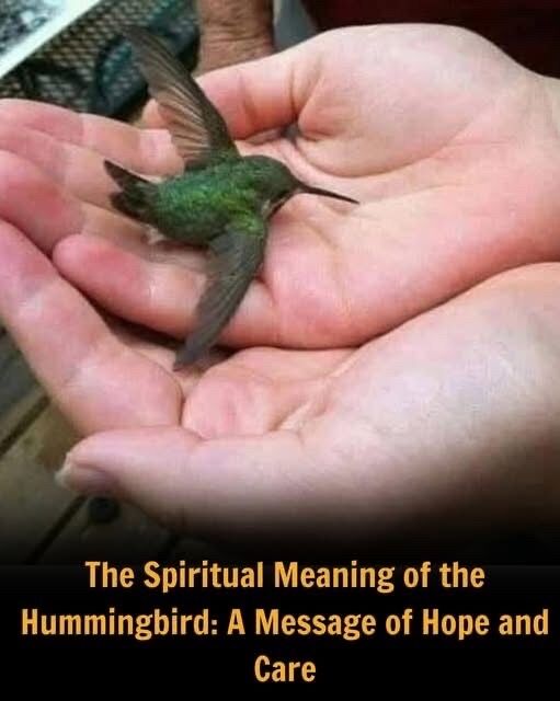 What’s the Hidden Meaning Behind a