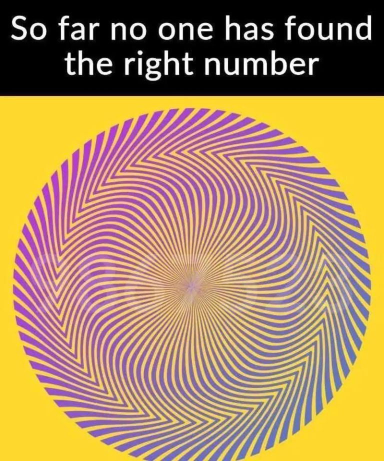 Can You Spot the Hidden Number…