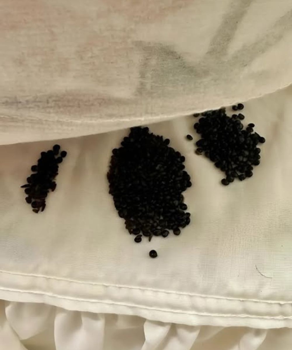 I discovered this under my mattress — I thought they were bug eggs, but what I learned shocked me