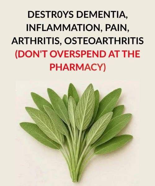Destroys Dementia, Inflammation, Pain