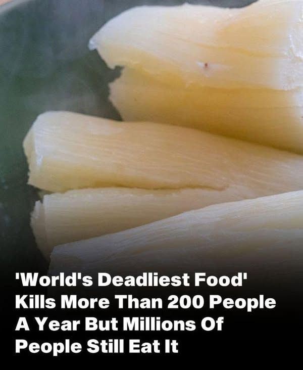 Over 200 People Are K. illed By