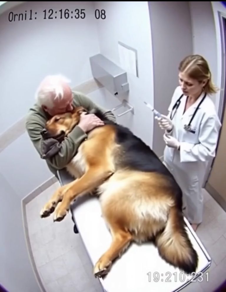 The dog shared one final embrace with his