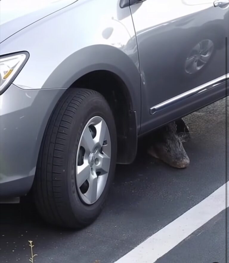 The Surprising Lesson I Learned From What