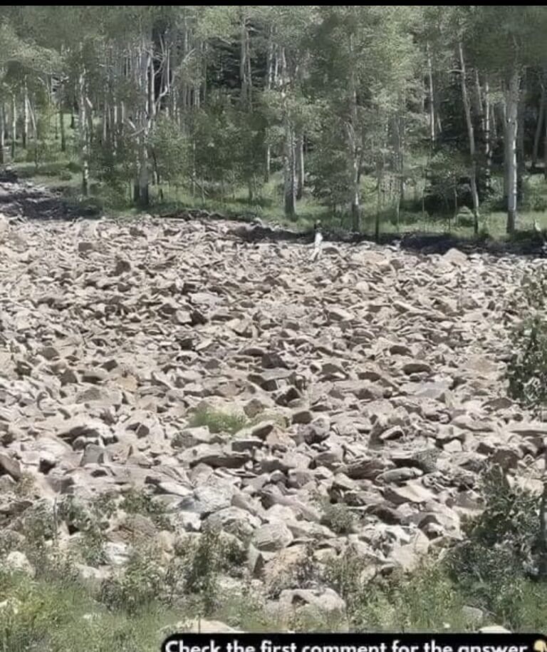 Can You Spot the Hidden Woman in This O