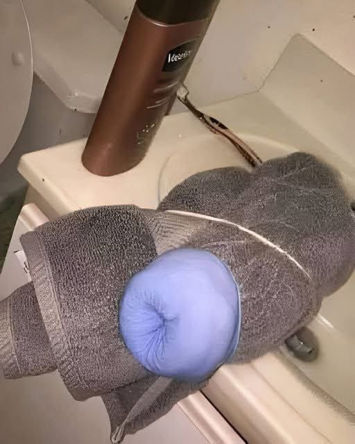 PEOPLE WERE SHOCKED BY THE STRANGE ITEM