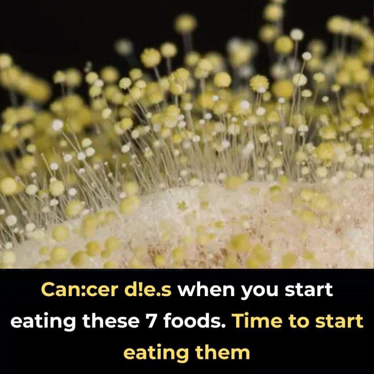 7 powerful anti-cancer foods you shoul