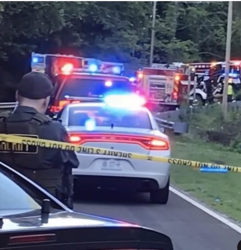 family trip turned into a he