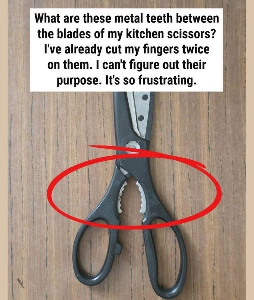 What’s the Purpose of the Strange Serrated Section on Kitchen Scissors?