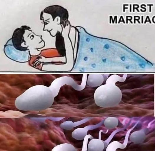 Studies reveal that swallowing your partner’s