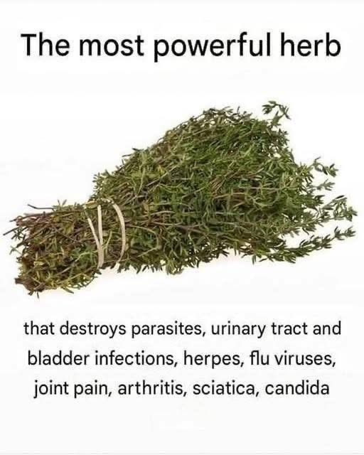 THE MOST POTENT HERB THAT DESTROYS PARASITES