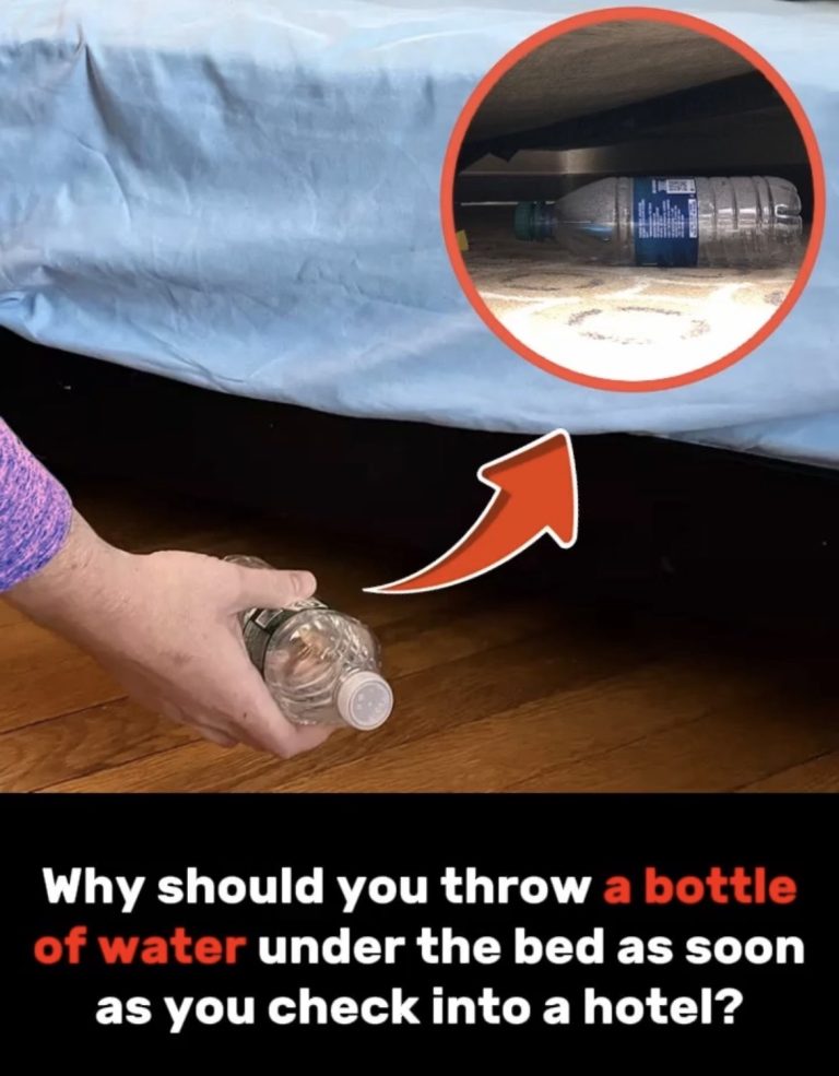 The Unexpected Reason Travelers A