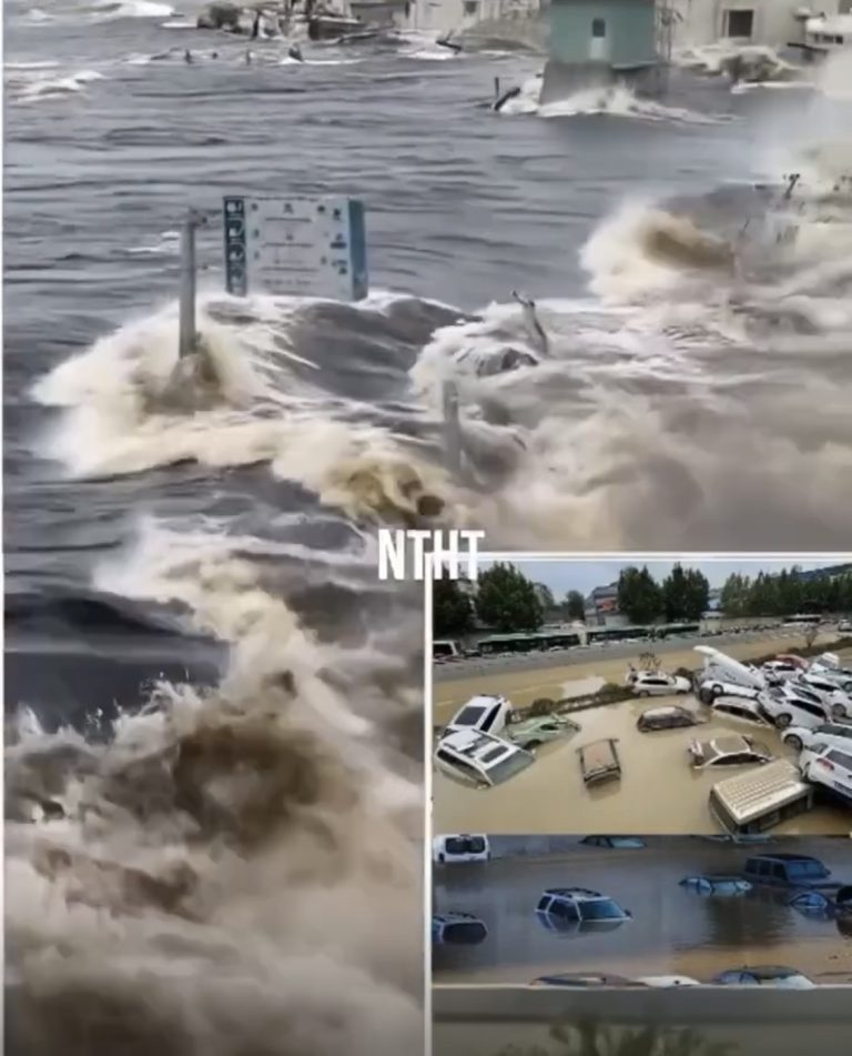 BREAKING NEWS : A 9.1 mag