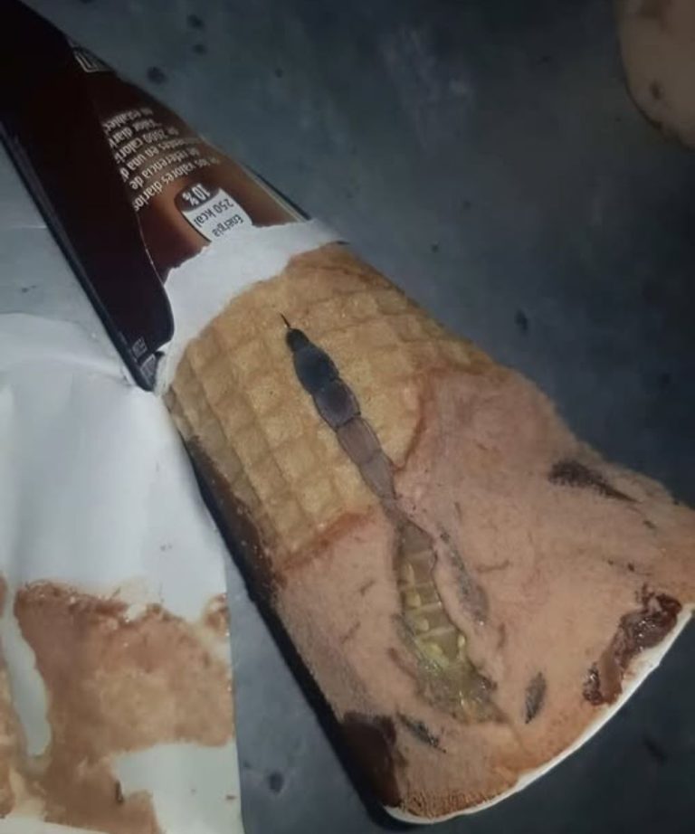 My Daughter Was After Chocolate Ice Cream, Yet What She Discovered Surprised Us Both