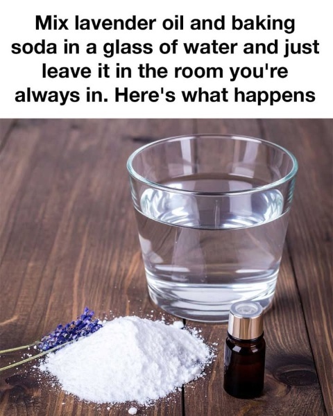 How Lavender and Baking Soda Transform Your Space