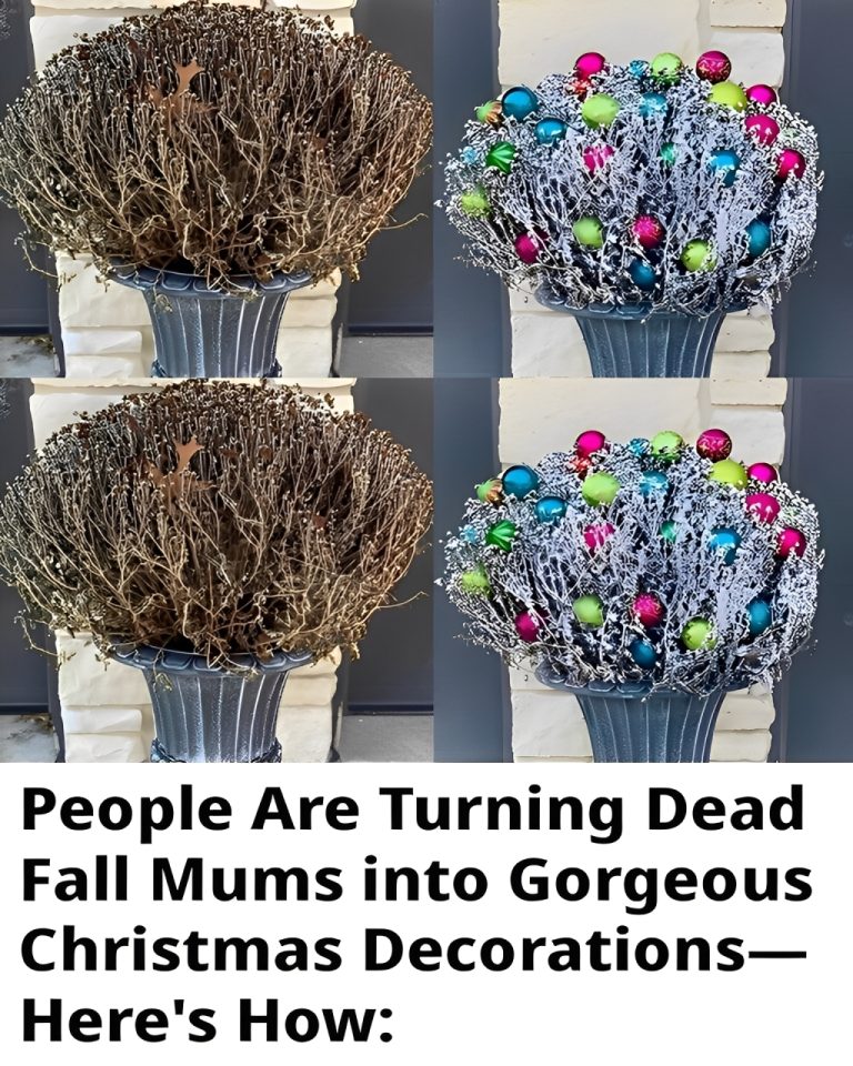 A guide to transforming mums into festive ornaments.