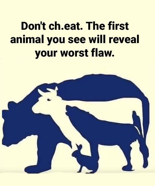 This Test Will Reveal Your “Worst Flaw” Based on the First Animal You See