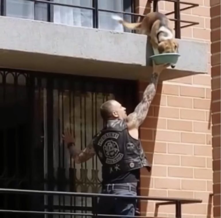 I Called the Cops on a Biker