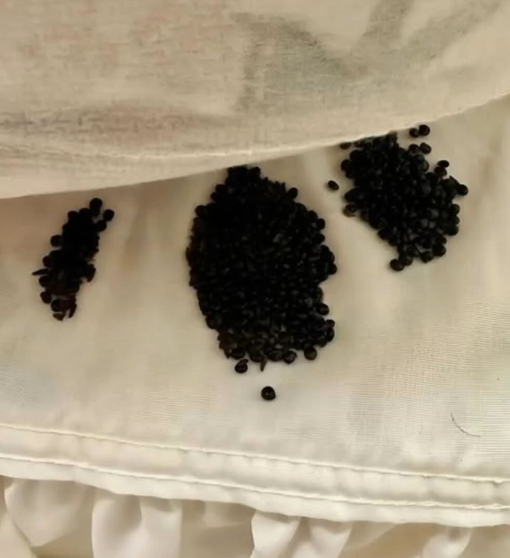 The Unexpected Discovery Hidden Beneat