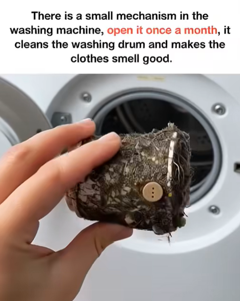 “One Simple Monthly Habit That Keeps Your Washing Machine and Laundry Safe”