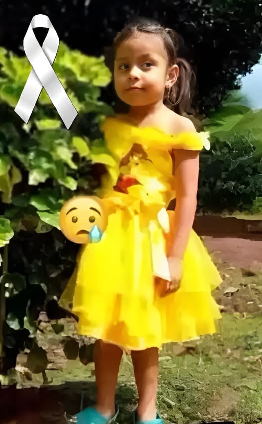 The 5-Year-old girl who was hit by aโฆ