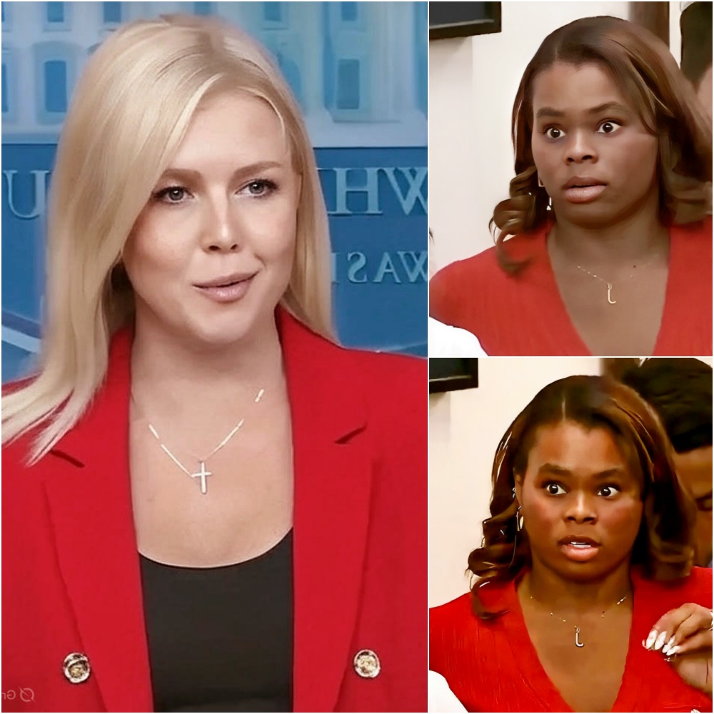 Karoline Leavitt Was Asked One Loaded