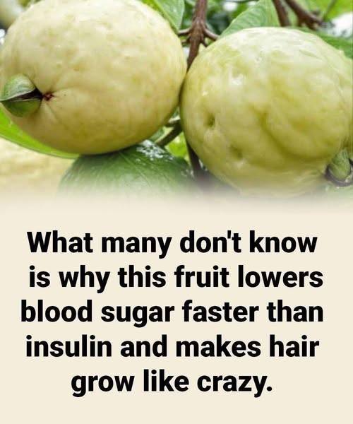Discover the power of this miracle fruit to lower blood sugarโฆ