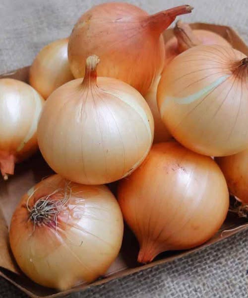 The Potential Benefits of Onions, According to Medical Experts
