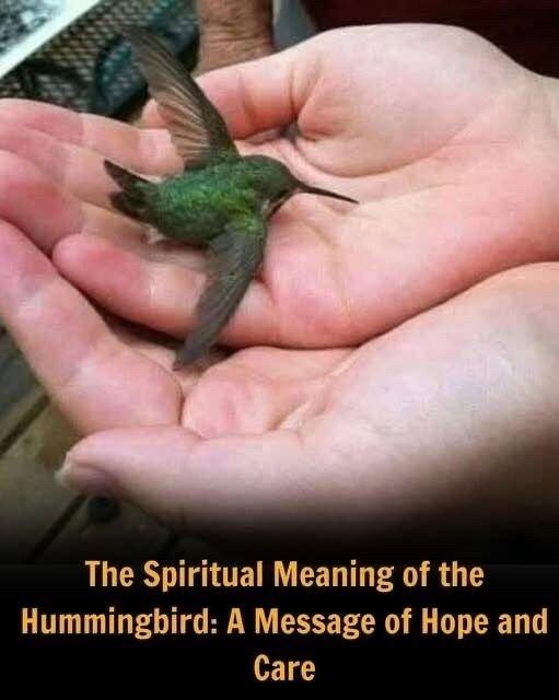 Did You Know That If a Hummingbird Comes to Your Home, It Means Something Special?