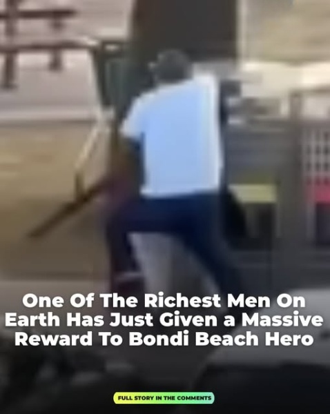 A billionaire has just awarded a huge reward to the hero of Bondi Beach