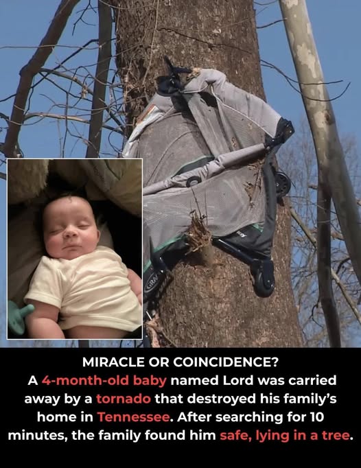 After a Tornado Snatched a Baby From the Crib, the Outcome Stunned All