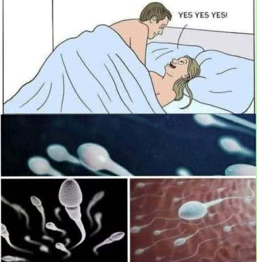 Surprising Study Findings About Intimat