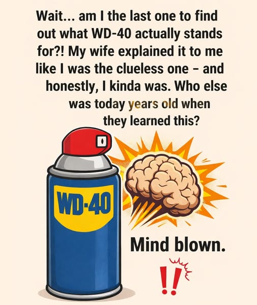 The True Meaning of WD-40 Surprises Many People