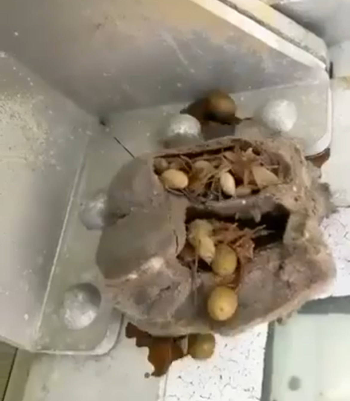 The Secret I Found in My Garage Altered Everything