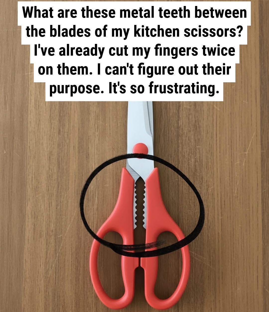 Whatโs the purpose of that jagged section on kitchen scissors?