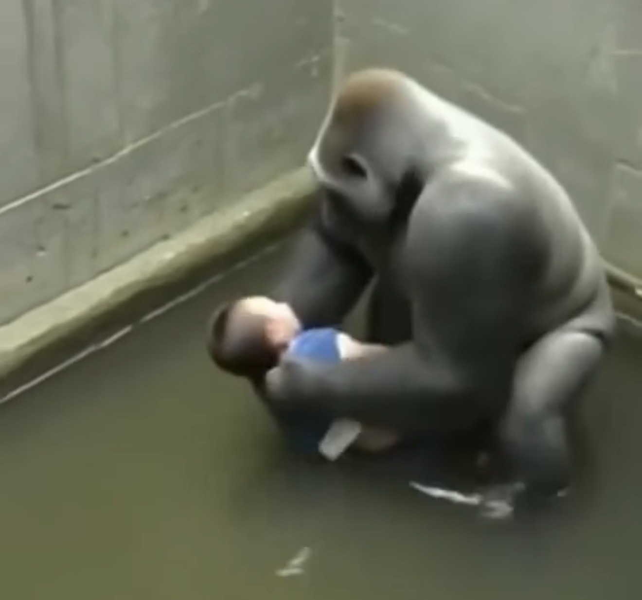 Inside the Debate: What Really