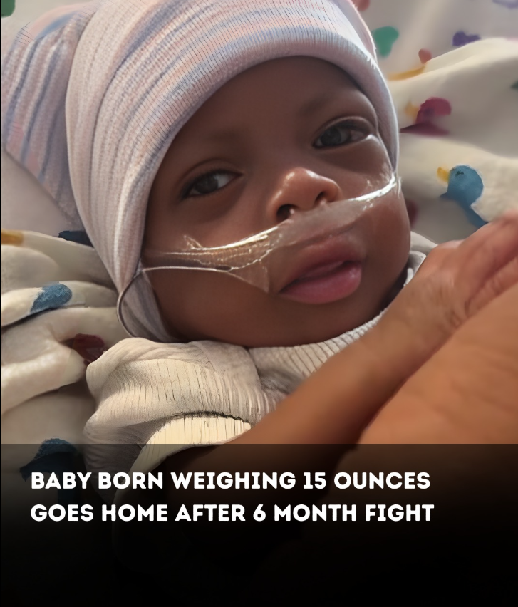 Baby born weighing 15 ounces goes home after 6 month fight