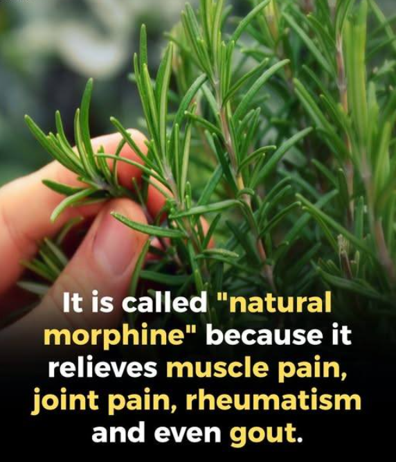 How to Welcome Ro…