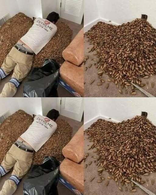 A man smells a strong smell in his house, w…