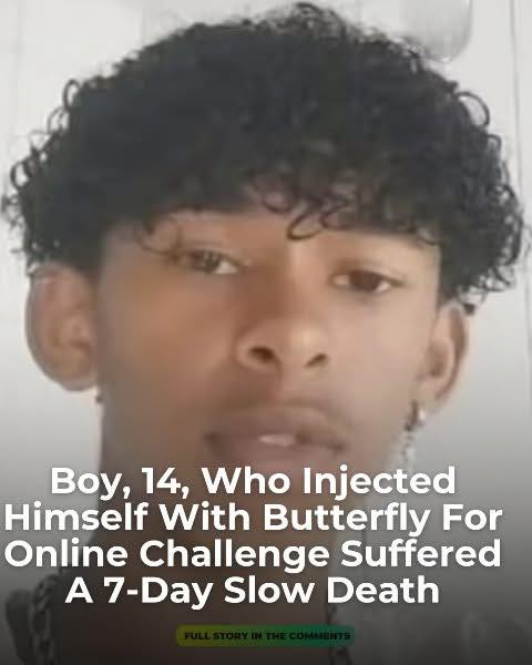 Boy, 14, who injected himself with butterfly
