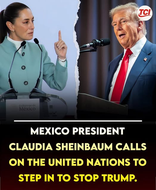 Mexican President Claudia Sheinbaum issue