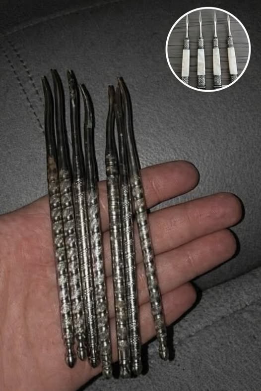 Strange Looking Tool Has Internet Stumped Over What It Actually Is! …See more