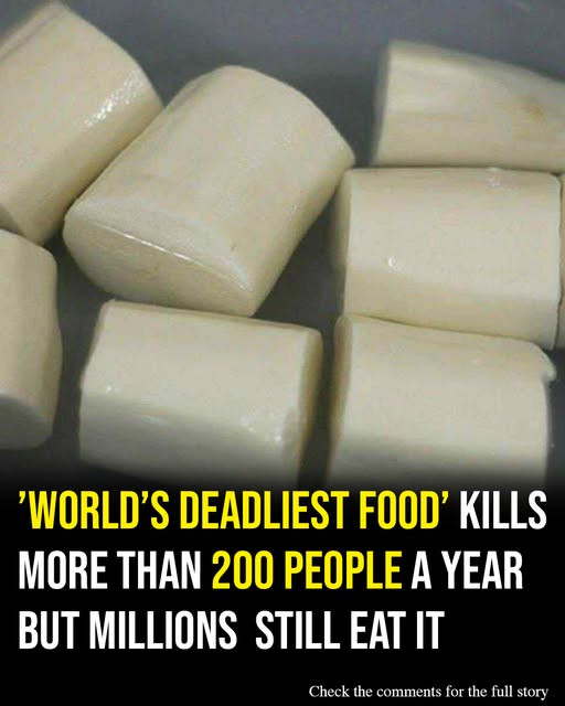 World’s ‘deadliest food’ ki lls