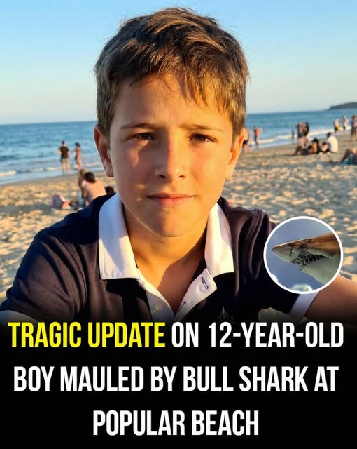 Update on a 12-Year-Old Boy’s Situation at a Popular Beach