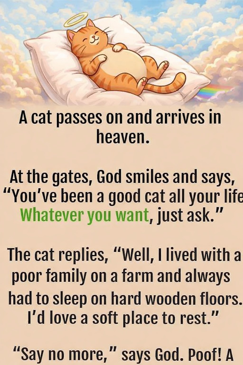 When a Beloved Cat Reaches Heaven