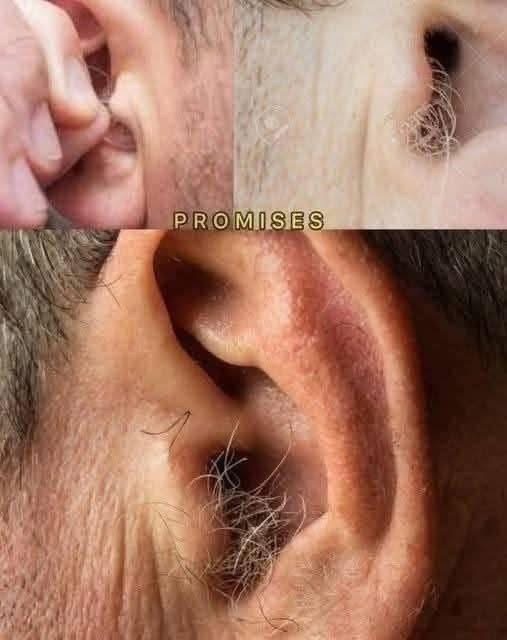 DID YOU KNOW that if hair grows on your ears, its because your body is