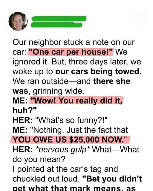 Our Overly Friendly Neighbor Reported Us and Had Both Our Cars Towed Over a Petty HOA Rule, Smiling Like She’d Won—Until We Revealed the Small Government Stickers on Our Windows, Turning Her Triumph Into Shock and Proving That Karma Sometimes Arrives Right on Schedule